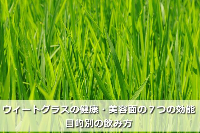 ウィートグラス