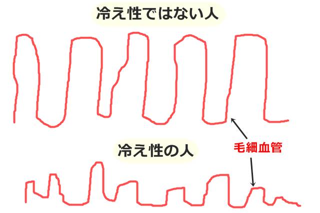 毛細血管