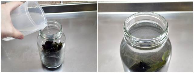ガラス瓶にコンブと水を入れた状態